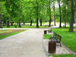 Percorrendo o Green Park de Londres